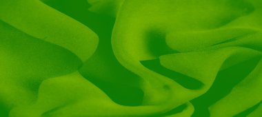 Bulanık, canlı yeşil kumaş pürüzsüz, yumuşak kıvrımlar yüzeyde yayılıyor, lüks bir his veriyor. Materyalin dokusu ve zarif hareketi derinlik ve karmaşıklık getirir..