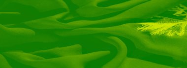 Görüntü, canlı yeşil kumaş dalgalı, organik kıvrımlarda görünür, pelüş bir dokuyu ortaya çıkarır ve ışık ve gölgenin dinamik etkileşimini ortaya çıkarır. Zarafeti ve derinliği şık iç mekanlar için mükemmeldir..