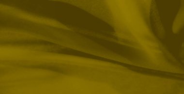 Yumuşak, organik bir doku oluşturan kıvrımları akan pürüzsüz bir kumaşın bulanıklığı. Bu yakın çekim materyalin sıcaklığını ve zarafetini vurguluyor..