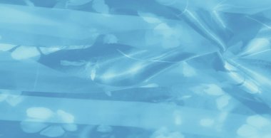 Yumuşak, şeffaf mavi kumaş bulanıklığı ince bir çiçek deseni ile nazikçe katmanlanmış. Katlar kumaş üzerinde zarif bir ışıltı yaratıyor, sakinlik ve karmaşıklık hissi uyandırıyor..