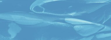 İnce çiçekli ve parlak kıvrımlı ince mavi kumaşlı bulanık kumaş. Kumaşın ruhani ve yumuşak odaklanma kalitesini arttıran rüya gibi, sakin bir his yaratıyor..