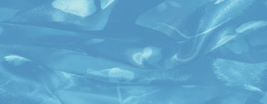 Yumuşak mavi kumaş bulanıklığı, soluk çiçekli detaylar ve parıldayan, parıldayan bir dokuya sahip. Kumaşın nazik kıvrımları ve yansımaları zarif ve havadar bir dokunuş ekler..