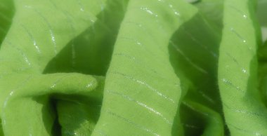 Görüntü, metalik gümüş iplikli canlı yeşil bir kumaş. Parlak bir desen oluşturuyor. Doğal kıvrımlar ve yumuşak ışık bir hareket hissi ekler.