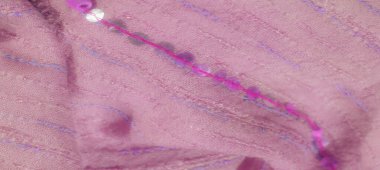 Katmanlı kareli desenli Bulanık Yeşil kumaş dokunmuş yapısını vurguluyor ve kumaşların üzerindeki ışık ve gölge karışımından derinlik ekliyor.