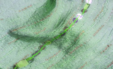 Görüntü. Işıldayan pullarla süslenmiş yeşil bir kumaş ve yumuşak kıvrımlarla karışık dikişler, hafif bir parıltı ve dokulu bir görünüm için ışığı yakalıyor..