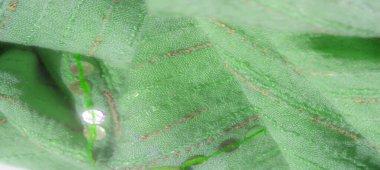 Görüntü, dekoratif dikişleri ve pırıl pırıl pulları olan karmaşık yeşil bir kumaş. Narin ama canlı bir desen oluşturuyor. Doku zarif bir tasarım için uygun yumuşak ve rafine bir görünüm sunuyor..