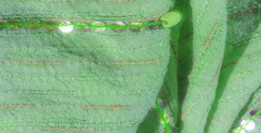 Görüntü, pullarla zenginleştirilmiş yumuşak yeşil bir kumaş ve ayrıntılı dikişler, desenli, zarif bir son yaratıyor. Katlar ve desenler derinlik ekler, kumaşın lüks havasını arttırır..