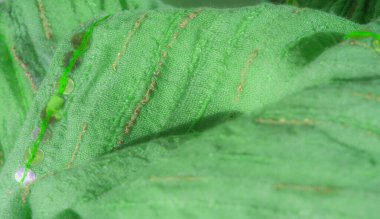 Katmanlı kareli desenli Bulanık Yeşil kumaş dokunmuş yapısını vurguluyor ve kumaşların üzerindeki ışık ve gölge karışımından derinlik ekliyor.