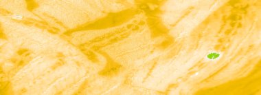 Katmanlı kareli desenli Bulanık Yeşil kumaş dokunmuş yapısını vurguluyor ve kumaşların üzerindeki ışık ve gölge karışımından derinlik ekliyor.