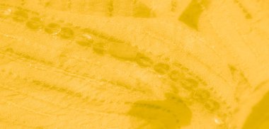 Karmaşık pullu, yumuşak sarı kumaşlı, dokulu, çizgili desenli narin, zarif, havadar görünümlü arka planlara uygun bir tekstil yaratıyor..