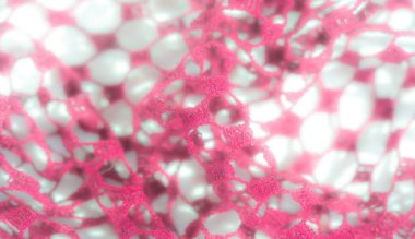 Açık ağ desenli ince pembe dantel kumaş üzerinde bulanık bir etki, rüya gibi ve havadar bir kalite ekliyor. Yumuşak ışık, narin estetik cazibesini arttırır..