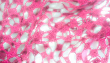 Bulanık pembe dantel kumaş, yumuşak ve narin bir desen oluşturarak yumuşak dokusunu geliştirir. Sanatsal ve romantik tasarımlar için ideal