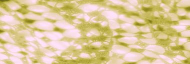 Görüntü güzel desenli yeşil dantel kumaş ağ benzeri bir desenle sergileniyor, dokumasının inceliğini gösteriyor. Yumuşak ışıklandırma, karmaşık tasarıma zerafet ve sıcaklık katar..