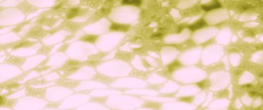 Görüntü güzel desenli yeşil dantel kumaş ağ benzeri bir desenle sergileniyor, dokumasının inceliğini gösteriyor. Yumuşak ışıklandırma, karmaşık tasarıma zerafet ve sıcaklık katar..