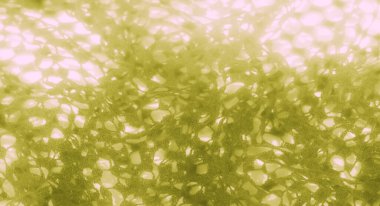 Katmanlı kareli desenli Bulanık Yeşil kumaş dokunmuş yapısını vurguluyor ve kumaşların üzerindeki ışık ve gölge karışımından derinlik ekliyor.