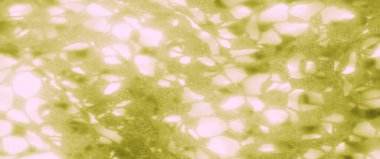 Görüntü, karmaşık dokuma dizaynlı zarif yeşil dantel bir kumaş içeriyor. Örgü benzeri bir yapı oluşturuyor. Yumuşak odak görüntüye nazik bir his katar. Kumaşın ince detaylarını yakalar..