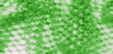 Karmaşık yeşil dantel kumaş, birbirine bağlı altıgenlerden oluşan bir ağ, yumuşak, havadar estetik ve kompozisyona taze, organik bir his sunuyor..