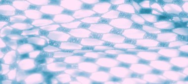 Tekrarlayan altıgen desenli havadar mavi dantel kumaşın bulanık görüntüsü hassas dokuları ve şeffaf bir efekti yakalıyor. Yumuşak ışıklandırma ince işçiliği geliştirir..