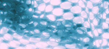 Katmanlı kareli desenli Bulanık Yeşil kumaş dokunmuş yapısını vurguluyor ve kumaşların üzerindeki ışık ve gölge karışımından derinlik ekliyor.