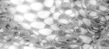 Bulanık, şeffaf dantelli, yumuşak, organik desenli. Dantel kumaşın hassas yapısı vurgulanmış ve dokuya bir hafiflik ve karmaşıklık hissi eklenmiş..