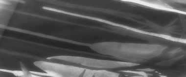 Görüntü soyut, gri ölçekli kumaş kıvrımlı, yumuşak ışıklandırmayla vurgulanmış hassas dokular sergiliyor. Işığın ve gölgenin maddenin arasındaki etkileşimi bir his yaratır.