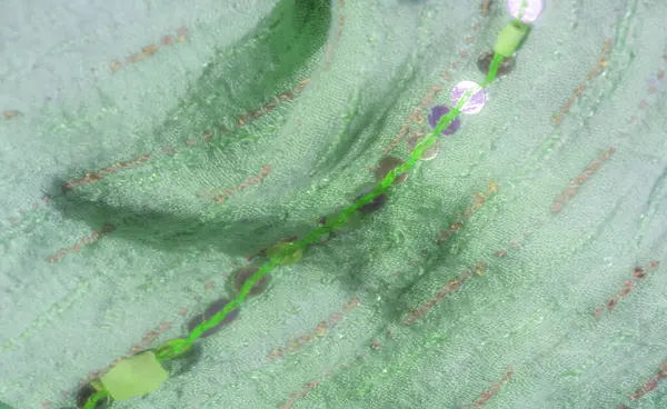 Görüntü. Işıldayan pullarla süslenmiş yeşil bir kumaş ve yumuşak kıvrımlarla karışık dikişler, hafif bir parıltı ve dokulu bir görünüm için ışığı yakalıyor..