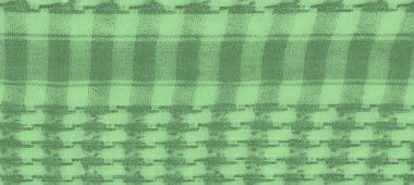 Görüntü. Katmanlı damalı yeşil kumaş, dokuma yapısını vurguluyor ve kumaşların üzerindeki ışık ve gölge karışımından derinlik ekliyor..