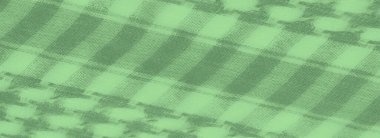 Görüntü. Bu yeşil kumaş, damalı planda eşsiz bir houndstooth esinlenilmiş desen içeriyor. Malzemeye, derin ve gölgeli kıvrımları olan lüks bir doku veriyor..