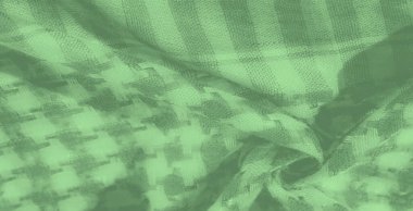 Kareli kumaş desenli yeşil bir kumaş. Karmaşık kıvrımları ve ışık oyununu vurguluyor. İnce yeşil tonlar dokuya derinlik ve boyut ekler..