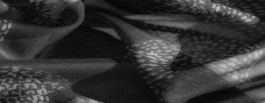 Bulanık, gri tonlu, pürüzsüz kıvrımlı ve karmaşık desenli bir kumaş. Gölgeler ve gölgeler boyut katar. İnce ve minimalist güzelliğini arttırır.