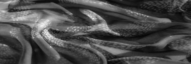 Gri tonlu kumaşlarda zarif kıvrımların bulanıklığı, ışık ve gölge etkileşimiyle karışık desenler sergiliyor, pürüzsüz, akıcı bir doku yaratıyor ve çeşitli yumuşak kıvrımlarda organik şekilleri vurguluyor..