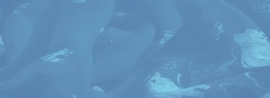 Bulanık, filler ve çiçek motifleri içeren karmaşık desenleri olan, çeşitli yaratıcı kullanım alanları için mükemmel ruhani ve sanatsal bir doku sunan yumuşak mavi bir kumaş..