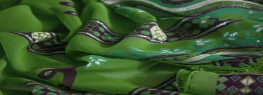 Mor süslemeler ve ince püslerle süslenmiş gösterişli yeşil kumaş, karmaşık desenlere ve işçiliğe ayrıntılı bir bakış sunuyor..