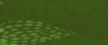 Yumuşak yeşil renkli bulanık kumaş, doğal dokuları taklit eden yapraksı desenlerle detaylandırılmış. Katlar bu sakin tekstile boyut ve derinlik ekler.