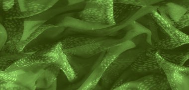 Hassas, doğadan esinlenilmiş katmanlı katmanlı, bulanık yeşil kumaş. Soyut, organik tasarım ince gölgeler içeriyor, derinlik katıyor ve rahatlatıcı bir etki yaratıyor..