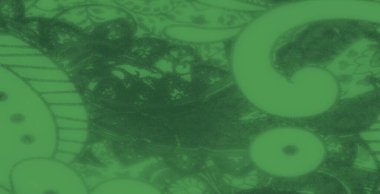 Sanatsal desenli bulanık yeşil kumaş ve dekoratif detaylar, yaratıcı uygulamalar için yumuşak ve sofistike bir tekstil sunuyor..