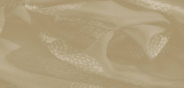 Bej kumaşın bulanık görüntüsü. Karmaşık desenler ve pürüzsüz bir doku ile nazikçe katlanmış. Yumuşak katmanlar ve akışkan şekiller rahatlatıcı ve zarif bir etki sunar..