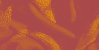 Karmaşık desenli turuncu kumaş bulanıklığı. Katlar derinlik ve yumuşak bir akış yaratır, kumaşın sıcaklığını ve narin tasarımını arttırır.