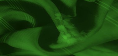 Görüntü. Zarif çiçek motifleri içeren zengin yeşil bir kumaş doğrusal çizgili desenlerle iç içe geçerek tasarımı üzerinde pürüzsüz ve lüks bir doku etkisi sunar..