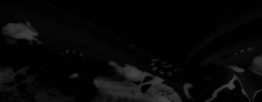 Monokromatik kumaşın yumuşak girdaplarını bulanıklaştır. Karmaşık dokuları ve soyut tasarımları vurgula. Beyaz fil desenleri belirgin ve sanatsal bir cazibe ekler.