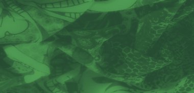 Klasik desenli ve doğal çiçek desenli koyu yeşil bir kumaş. Gelişmişlik ve dinamik tasarımın sanatsal bir karışımını çağrıştırıyor.