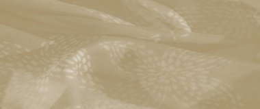 Bulanık bej kumaş kıvrımları dağınık ışık altında parıldayan ince çiçek desenleriyle vurgulanmış yumuşak, akıcı bir doku yaratır. Nazik tonlar ve organik desenler zarif bir...