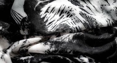 Bulanık efekt yarı şeffaf kumaşın ince kıvrımlarını yakalar, beyaz ve siyahın karmaşık desenlerini ve yumuşak, akıcı dokularını gösterir..