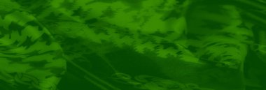 Bulanık - Houndstooth ve zincir tasarımlarıyla süslenmiş, karmaşık desenler ve lüks dokularla harmanlanmış akan yeşil bir kumaş. Örtü kumaşın zengin ve zarif karakterini vurguluyor..