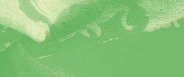 Nazik, yeşil bir kumaşın bulanık görüntüsü, ince, beyaz çiçek desenli, yumuşak ve huzurlu bir görünüm yaratıyor. Kumaşın kıvrımları ve zarif deseni onu giysi ve dekor için ideal hale getiriyor.,