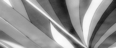 Bulanık, tek renkli kumaş yumuşak kıvrımlar ve ince dokular, zarif gri tonlarda tasarlanmış, sofistike ve zamansız görsel çekiciliğini arttırıyor.