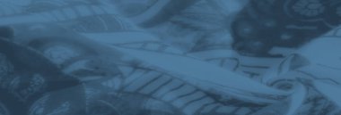 Görüntü. Zarif ve detaylı bir tekstil tasarımı sergileyen, mavi tonlarında, karmaşık çiçekli ve desenli bir kumaş..