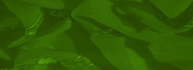 Detaylı çiçek desenleri ve parlak kenarları ile uçan yeşil tekstil, büyüleyici bir doku, renk ve sanatsal karışım sunar..