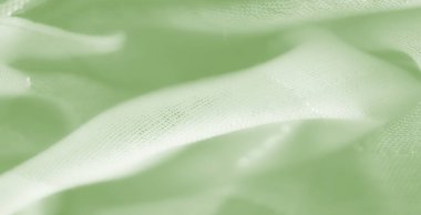 Parlak aksanlı bulanık yeşil ağ kumaşı, hava katmanları ve modern ve yaratıcı dekoratif amaçlar için mükemmel zarif bir tasarım..