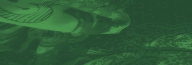 Bulanık yeşil kumaş, kalın çiçekli tasarımlar ve kıvrımlı desenli elementler, doğal ve soyut motiflerin uyumlu bir karışımını sunuyor, dekor ve yaratıcı kullanım için ideal..